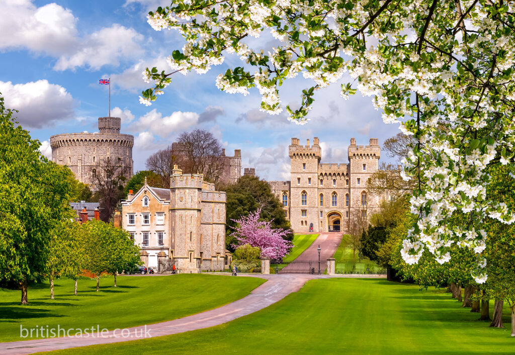 Windsor Castle in spring blossom